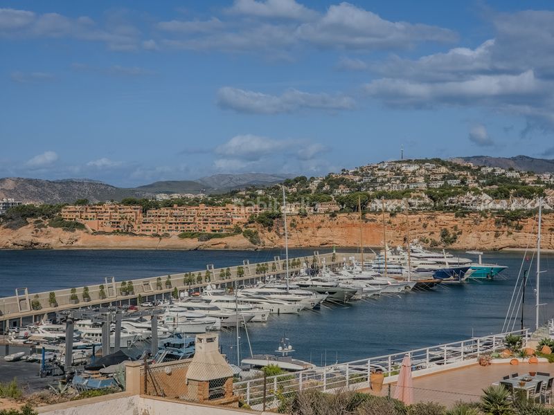 Foto fcbcb2cd-2227-4127-b2ee-4b428d39974e. Casa amb piscina a El Toro Calvià