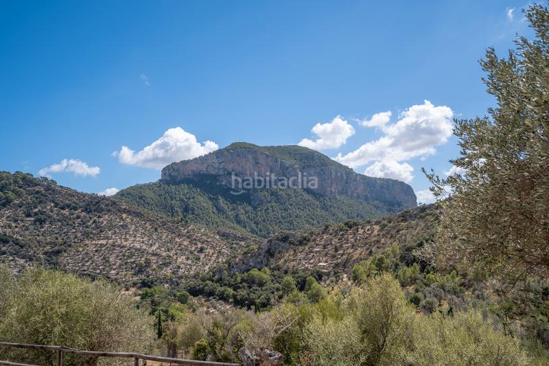 Foto ea384521-4ad9-4bd2-93a9-84a411ba831d. Wohngrundstück in Bunyola