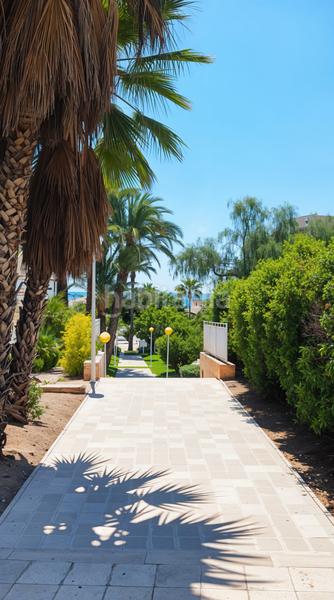 Foto 102a4a71-07f0-4629-8699-dcab9d71f520. Appartement avec piscine dans El Moncayo - El Pòrtic Guardamar del Segura