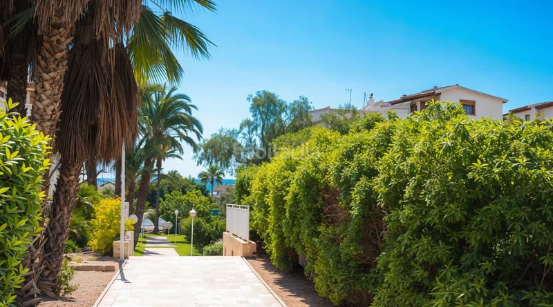 Foto fcf6a223-ea9d-4f08-af40-34f2ebda36d8. Appartement avec piscine dans El Moncayo - El Pòrtic Guardamar del Segura