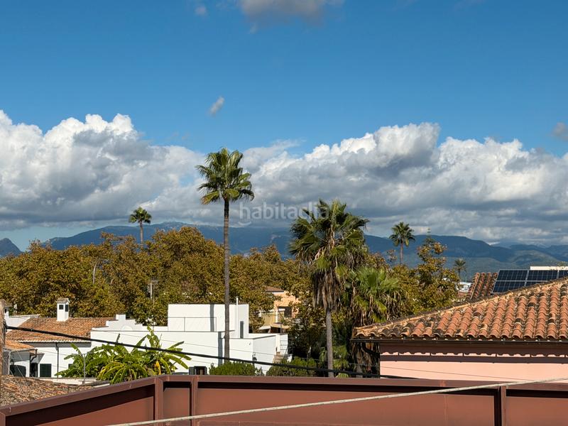 Foto 15622d87-8c5c-4df8-b6bc-2d8d9fc2aba0. Alquiler apartamento en Amanecer Palma de Mallorca