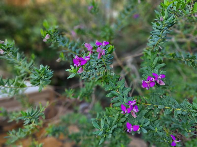 Foto b02e8311-0964-4e74-87a6-8e75e828c9d3. Wohngrundstück in Canyamel Capdepera