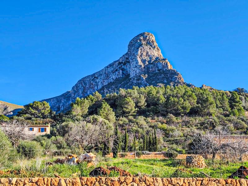 Foto 7b60ba81-32da-4c5f-a6b6-ee46bb266c98. Haus in S´Estanyol Artà