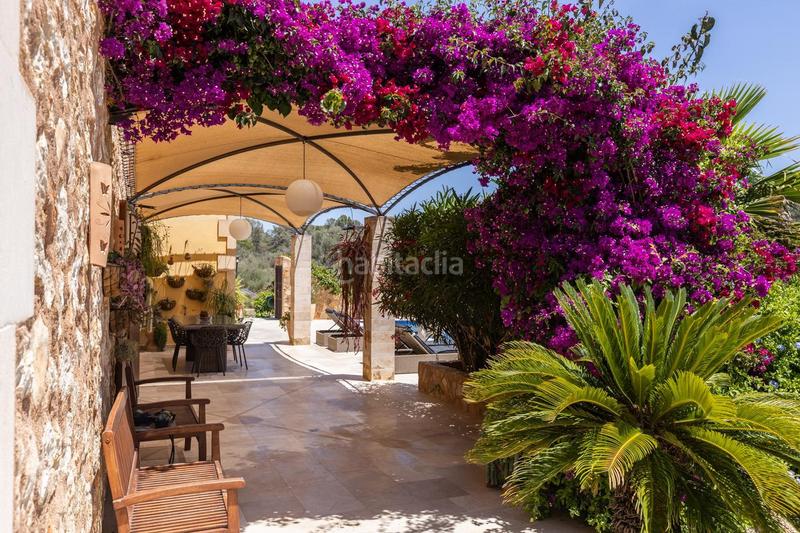 Foto 882c6162-fd03-413b-9278-124bdf23e619. Wohngrundstück in Montuïri