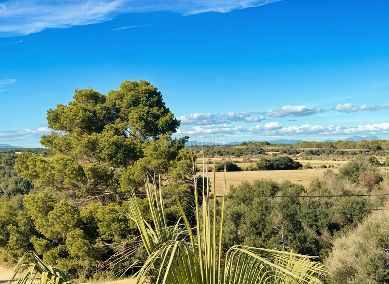 Foto 3250f9ec-223d-41b0-a002-84e8c45b6980. Casa aparellada amb calefacció aparcament piscina a Llucmajor