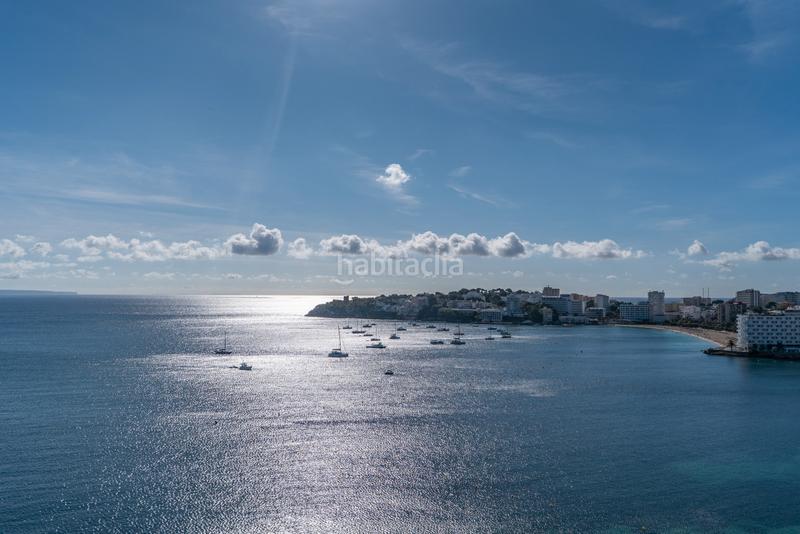 Foto 2a4ed166-133a-49f7-9b71-0435c1b9b7e3. Alquiler apartamento en Palmanova Calvià