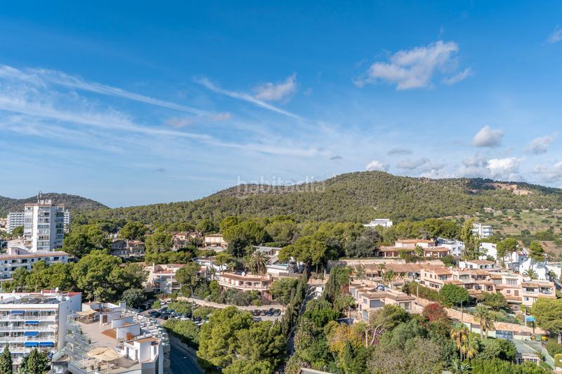 Foto 8bfbad88-0a2c-48a3-afb0-131f23068ab4. Alquiler apartamento en Palmanova Calvià