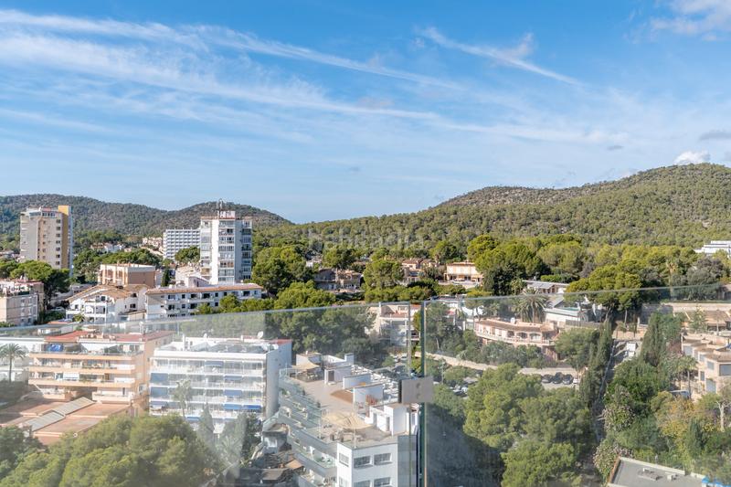 Foto fe823d1c-c018-4b6b-af29-d06834088a1e. Affitto piccolo appartamento in Palmanova Calvià