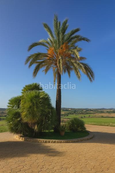 Foto 0ffba5e5-92fe-4f82-8bbb-52433dc6821c. Terreny residencial a Sant Llorenç des Cardassar