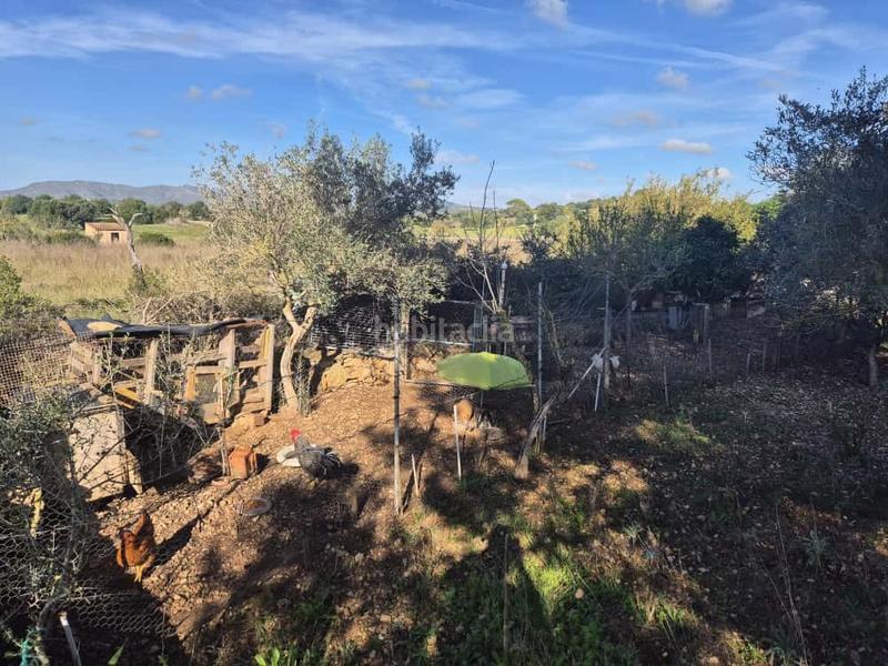 Foto 996c9920-5950-4f28-b961-8926c4bd33ff. Bauernhof in Manacor centre Manacor