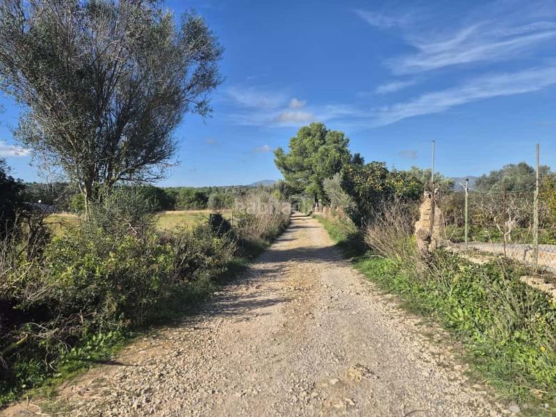 Foto 8dbf6707-6093-4774-89fe-c8fc1d20fdd8. Mas dans Manacor centre Manacor