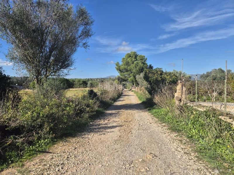 Foto 8dbf6707-6093-4774-89fe-c8fc1d20fdd8. Casa a Manacor centre Manacor