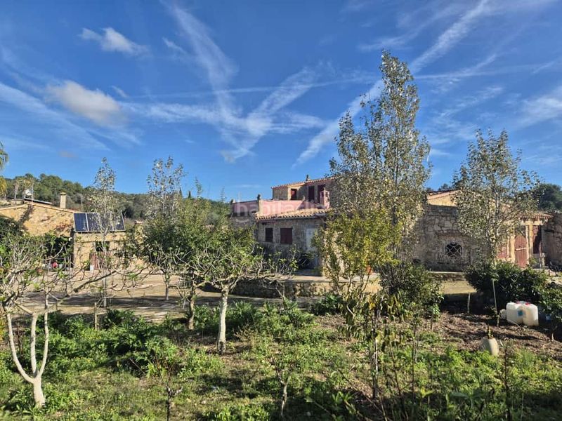 Foto ce050e72-a2e2-4814-800a-52400f265543. Casa a Manacor centre Manacor