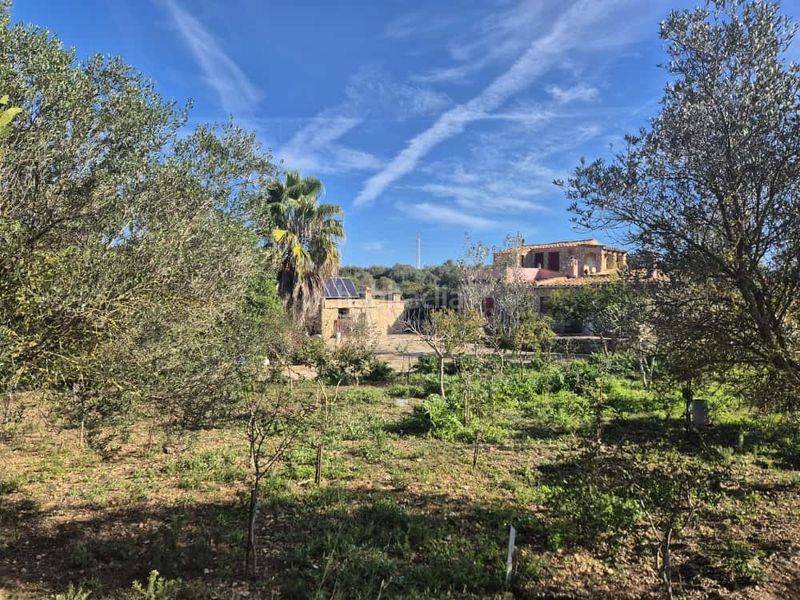 Foto e4f8a844-8b1f-46c4-91e5-431cb12af0b5. Casa a Manacor centre Manacor