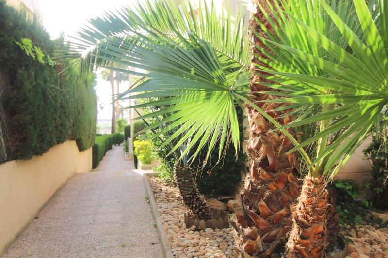 Foto e55b1f49-7748-4f68-9318-64517b10c4a2. Appartement dans La Veleta Torrevieja