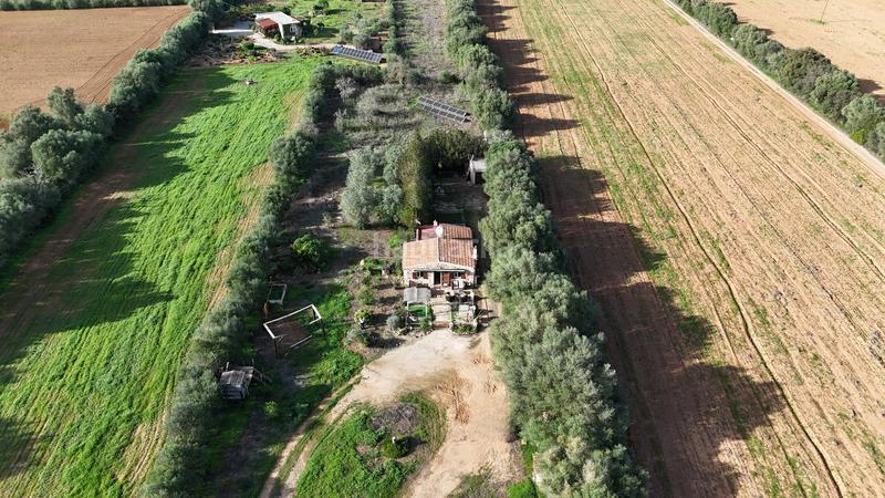 Foto 0a815d76-c79d-496a-a343-bb1a321c0be4. Terreno residencial en Felanitx poble Felanitx