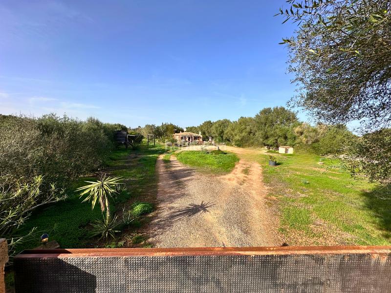 Foto 0b31ee32-be70-429b-8959-b3683ac46c68. Terreno residencial en Felanitx poble Felanitx