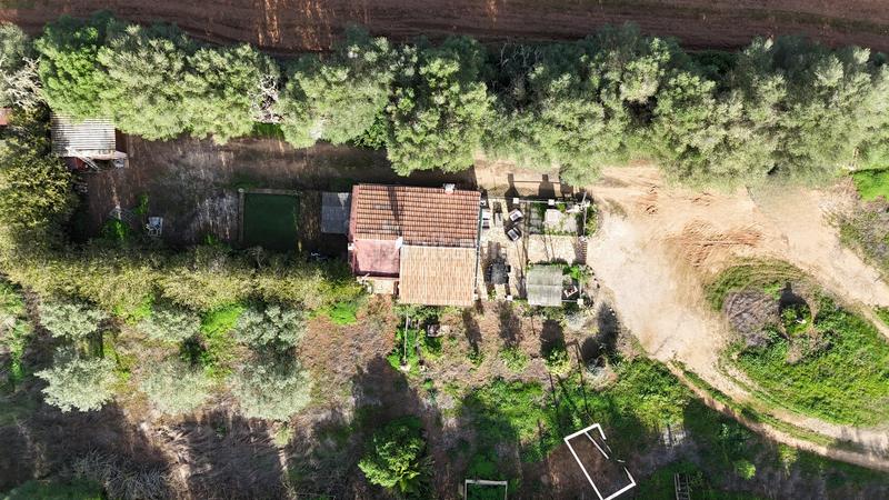 Foto 183e0ea9-716f-4c8c-89ce-22496f366759. Terreno residencial en Felanitx poble Felanitx