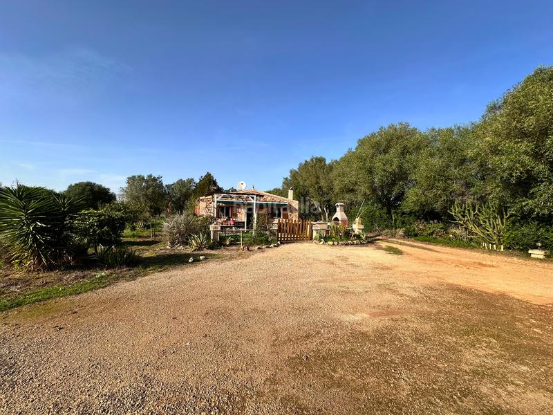 Foto 1bf24a16-fe19-48c4-9578-a6dafc628fdf. Terreno residencial en Felanitx poble Felanitx