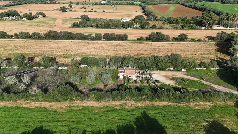 Foto 4990fce5-4a7a-47a2-a952-ff313b28134f. Terreno residencial en Felanitx poble Felanitx