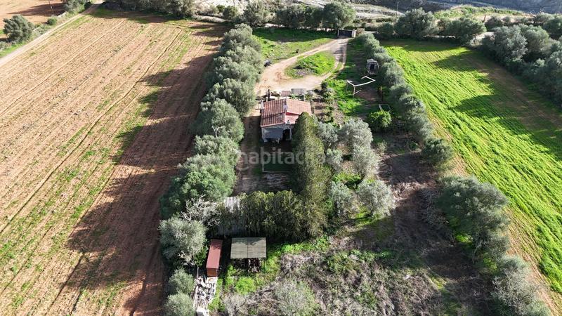 Foto 93826532-e530-426c-ae05-17ac60eccc87. Terreno residencial en Felanitx poble Felanitx