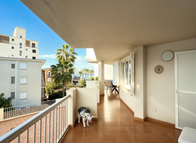 Foto 0a50e398-c57f-47e2-839d-d35ab85ee6be. Lloguer apartament a Les Maravelles Palma de Mallorca