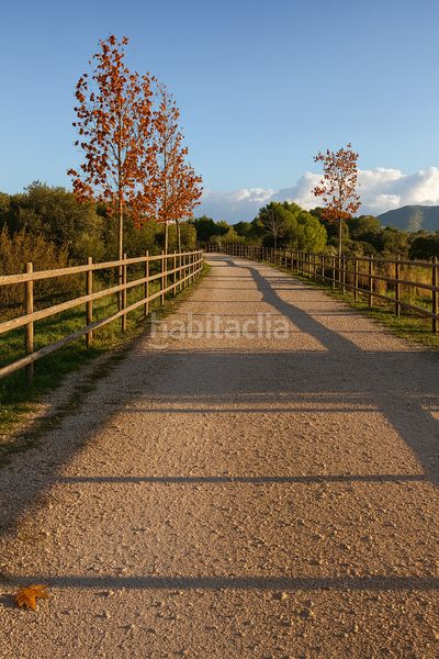 Foto dd9425a0-cc6c-4888-811f-2a17a249756f. Casa adossada a Son Servera poble Son Servera