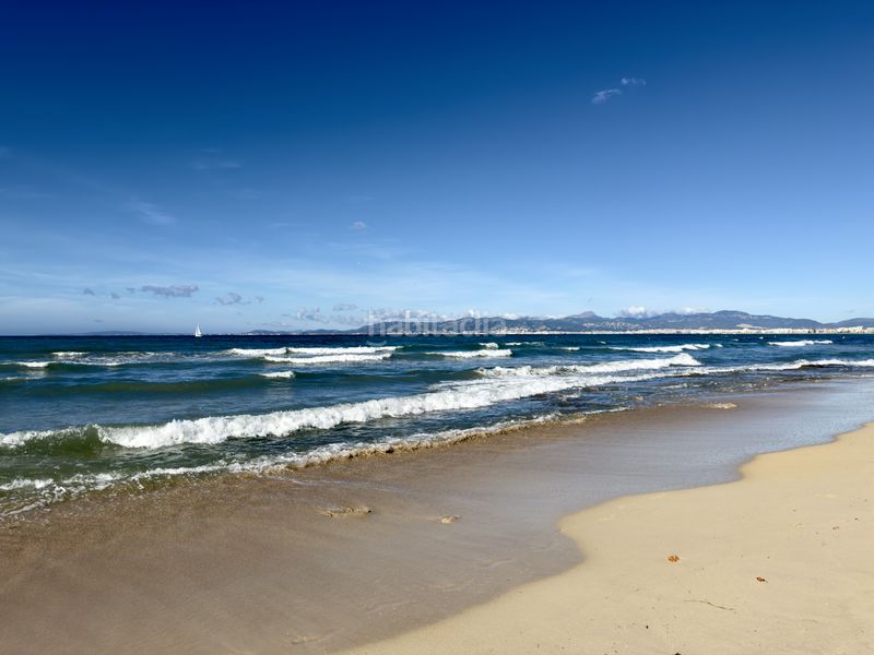 Foto 69d261ea-a687-4f44-9fb9-99520a3de24e. Apartament a S´Arenal Palma de Mallorca