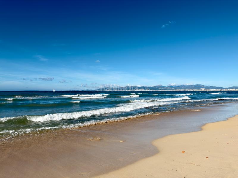 Foto 69d261ea-a687-4f44-9fb9-99520a3de24e. Apartament a S´Arenal Palma de Mallorca