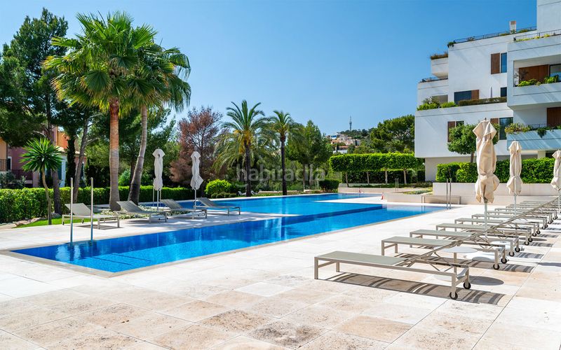 Foto a73ec112-2348-4b66-bb38-d11ec94a1d40. Àtic amb calefacció aparcament piscina a Santa Ponça Calvià