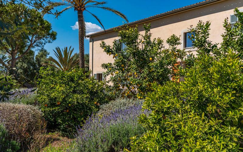 Foto b40aebae-01fd-4d92-9058-5ba6ee71492a. Terreno residenziale in Sa Cabaneta Marratxí