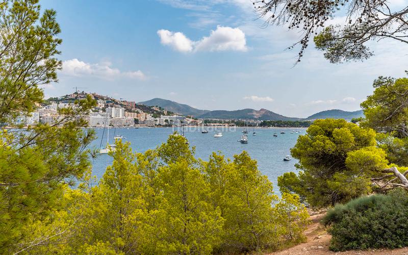 Foto ddc2708a-cc37-4f10-9d6c-073a4d7f7b0c. Casa adosada en Santa Ponça Calvià