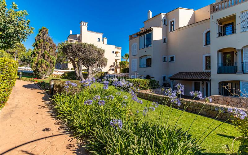 Foto aafbf80f-7111-4c14-a6a1-81274219b179. Appartement mit pool in Santa Ponça Calvià