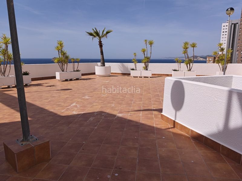 Foto 892141a8-c1e6-4f60-b2b3-606ed8e77960. Àtic amb calefacció aparcament piscina a Rincón Alto Benidorm