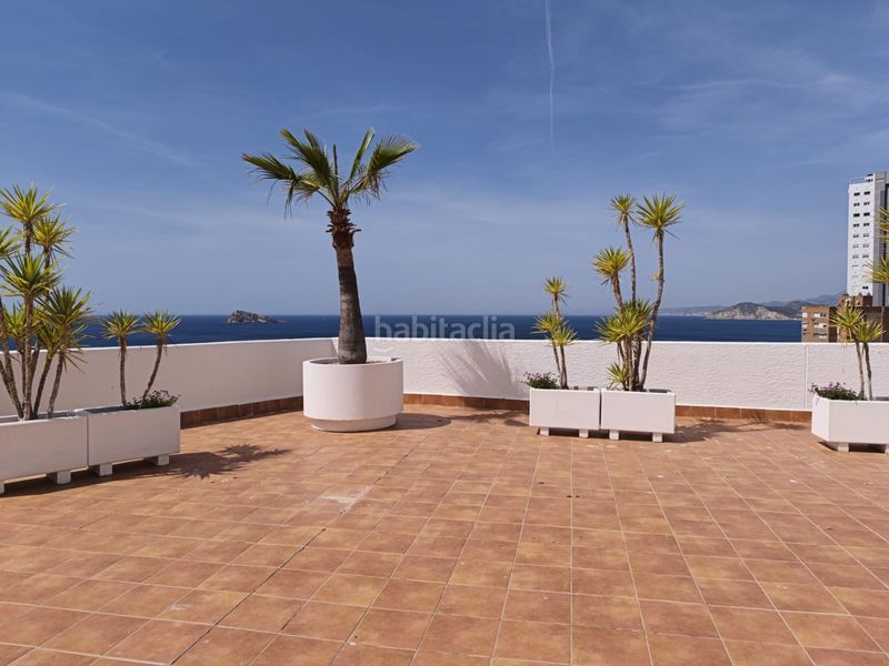 Foto d88db092-3961-424d-bec6-a1641c9d96de. Àtic amb calefacció aparcament piscina a Rincón Alto Benidorm