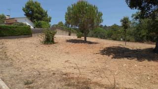 Residential Plot  Figuera