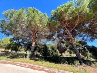 Residential Plot  Figuera