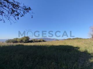 Wohngrundstück  Vila de vall