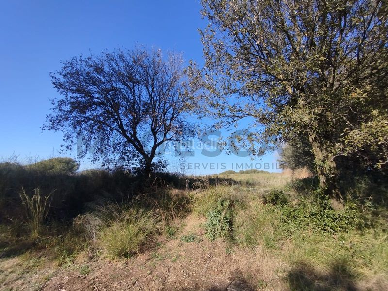 Foto d96bf539-6fe2-48b2-ade8-8853a2870ca6. Wohngrundstück in Caldes de Montbui