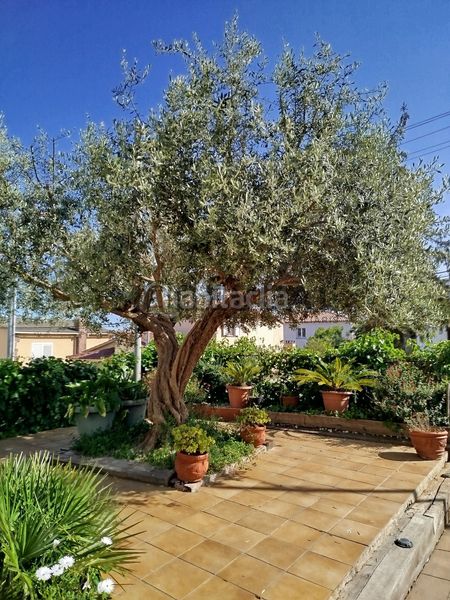 Foto db1afdec-e3be-4484-a304-b13d52ddeb54. Casa adossada amb calefacció aparcament a Caldes de Montbui