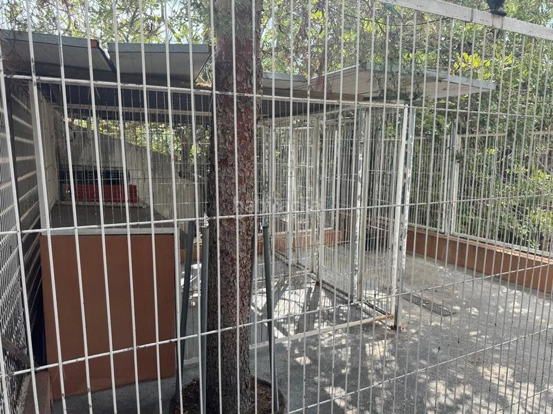 Foto c85d4d36-506a-419d-9d96-c2bec560b9c4. Chalet mit heizung parking pool in Borriol