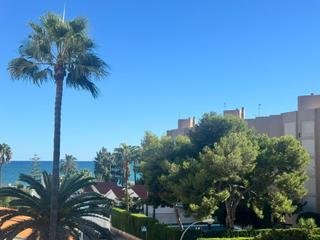 Lloguer Apartament a Els Terrers. Estás buscando un alquiler de larga duración en benicasim playa?