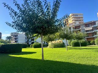 Miete Appartement in Heliópolis. Alquiler anual apartamento