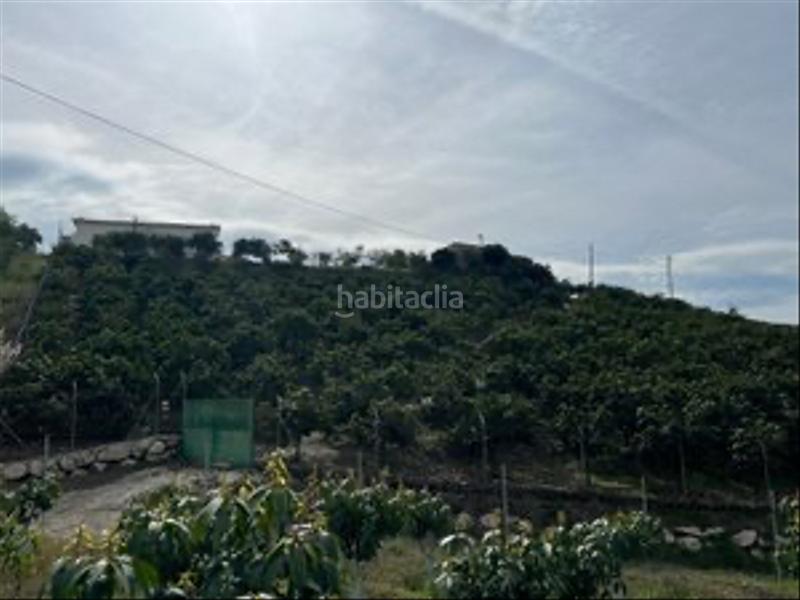 Foto 5312e741-a54f-4561-8e0c-028b53393338. Casale con camino parcheggio in Almayate Bajo
