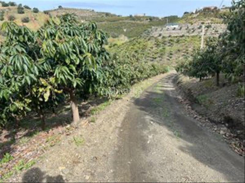 Foto 6af6737f-10ff-4295-929a-8eba56da0853. Casale con camino parcheggio in Almayate Bajo