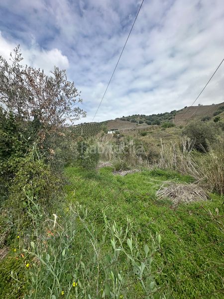 Foto da53686e-0a68-4741-a950-06790cbadb0d. Masia a Iznate