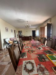 Mas à Iznate. ?? finca rústica con vivienda, piscina y plantaciones de aguacat