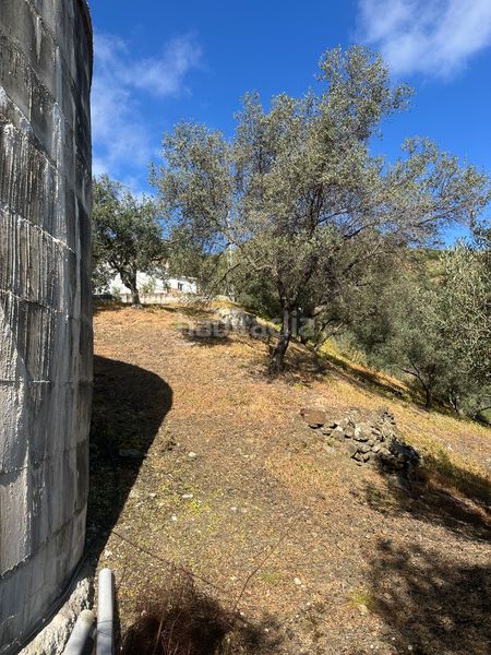 Foto e4761c7a-64a6-48a5-94b5-546a63f303ca. Masia amb xemeneia aparcament a Iznate