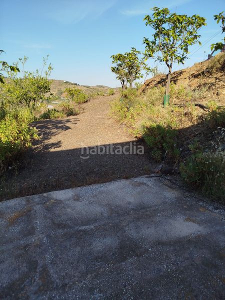 Foto 3c1ace89-1820-4559-af1e-a7bc47eea3b9. Finca rústica a Camino Viejo de Málaga Vélez - Málaga