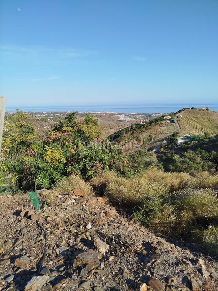 Foto 3d953e61-bb86-4ed8-91e2-d01054e79b3f. Finca rústica a Camino Viejo de Málaga Vélez - Málaga